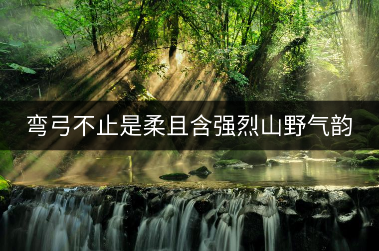 彎弓不止是柔且含強烈山野氣韻 彎弓不止是柔且含強烈山野氣韻
