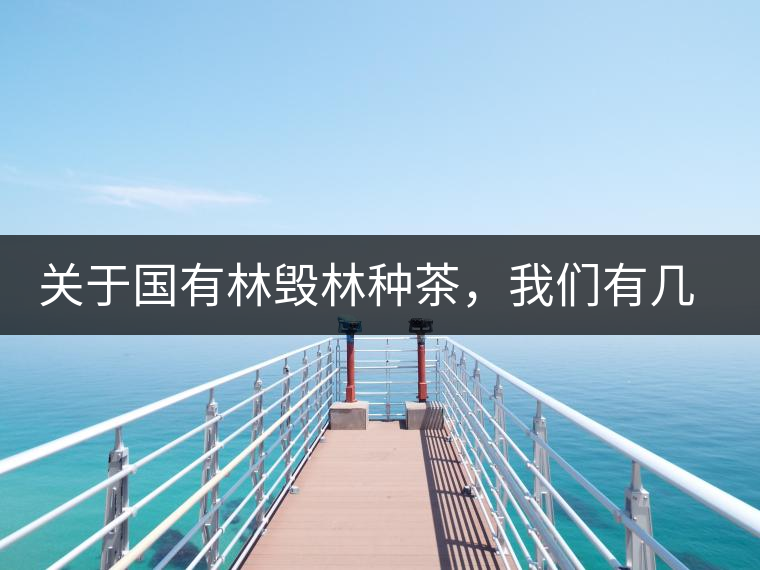 關(guān)于國(guó)有林毀林種茶，我們有幾點(diǎn)不得不說(shuō)