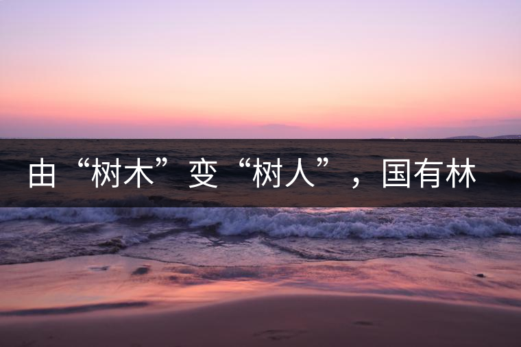 由“樹木”變“樹人”,國有林普洱茶為什么越來越受歡迎? 由“樹木”變“樹人”,國有林普洱茶為什么越來越受歡迎?