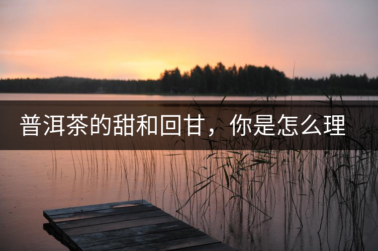 普洱茶的甜和回甘，你是怎么理解的？