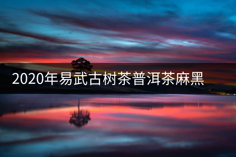 2020年易武古樹茶普洱茶麻黑春茶特點和價格 2020年易武古樹茶普洱茶麻黑春茶特點和價格