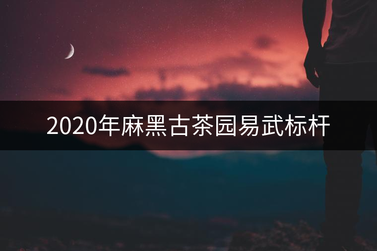 2020年麻黑古茶園易武標桿