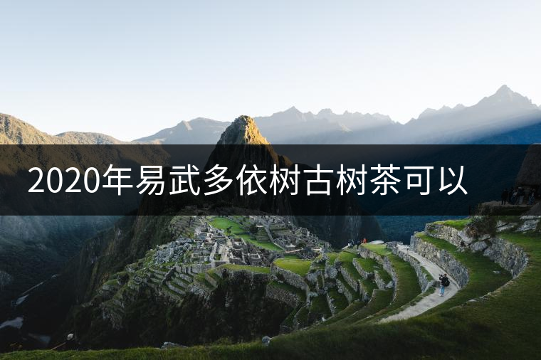 2020年易武多依樹古樹茶可以媲美薄荷塘的微茶區(qū) 2020年易武多依樹古樹茶可以媲美薄荷塘的微茶區(qū)