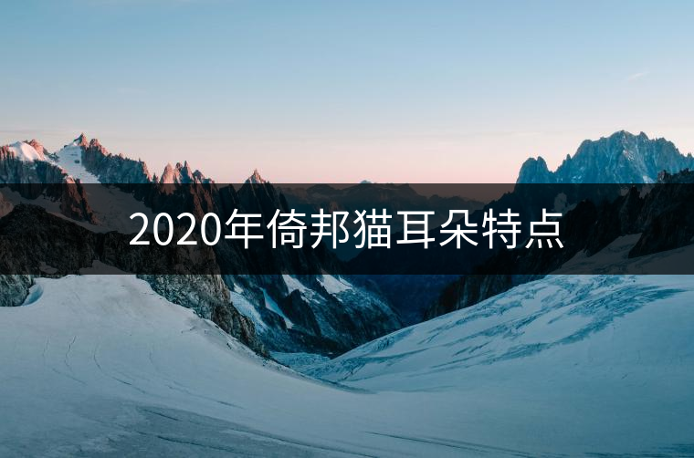 2020年倚邦貓耳朵特點 2020年倚邦貓耳朵特點