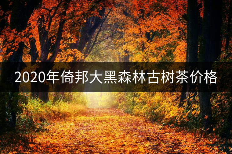 2020年倚邦大黑森林古樹茶價格