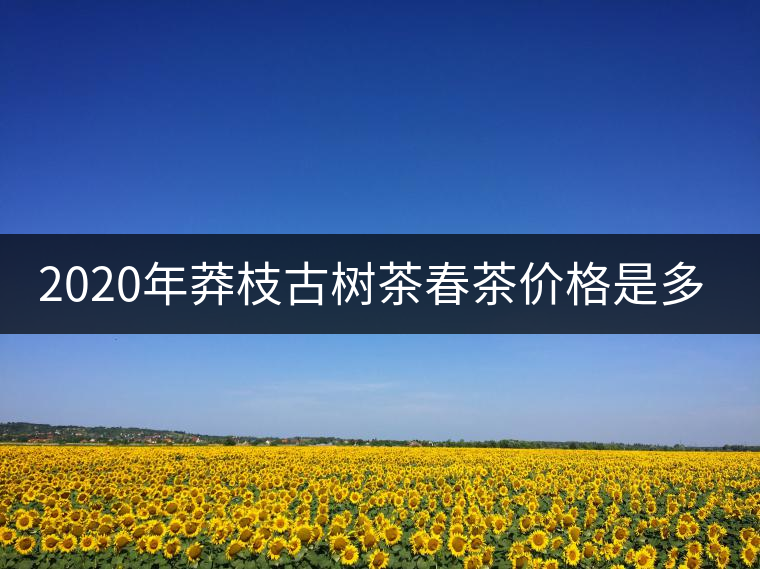 2020年莽枝古樹茶春茶價格是多少錢？