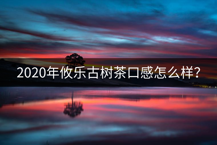 2020年攸樂古樹茶口感怎么樣? 2020年攸樂古樹茶口感怎么樣?