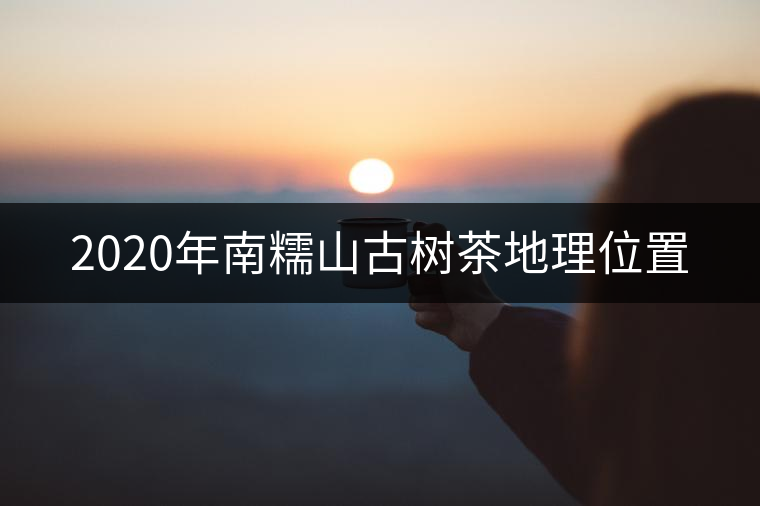 2020年南糯山古樹茶地理位置 2020年南糯山古樹茶地理位置