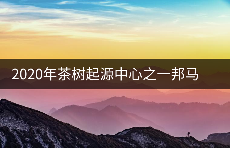 2020年茶樹起源中心之一邦馬大雪山上有哪些神秘的村寨？