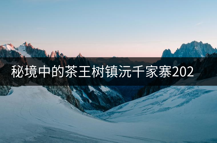 秘境中的茶王樹鎮沅千家寨2020年普洱茶區茶山行 秘境中的茶王樹鎮沅千家寨2020年普洱茶區茶山行