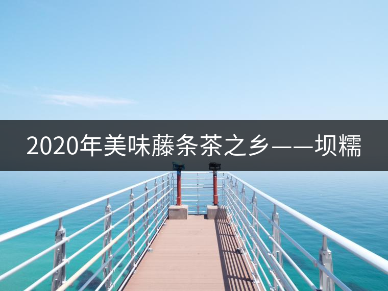 2020年美味藤條茶之鄉——壩糯