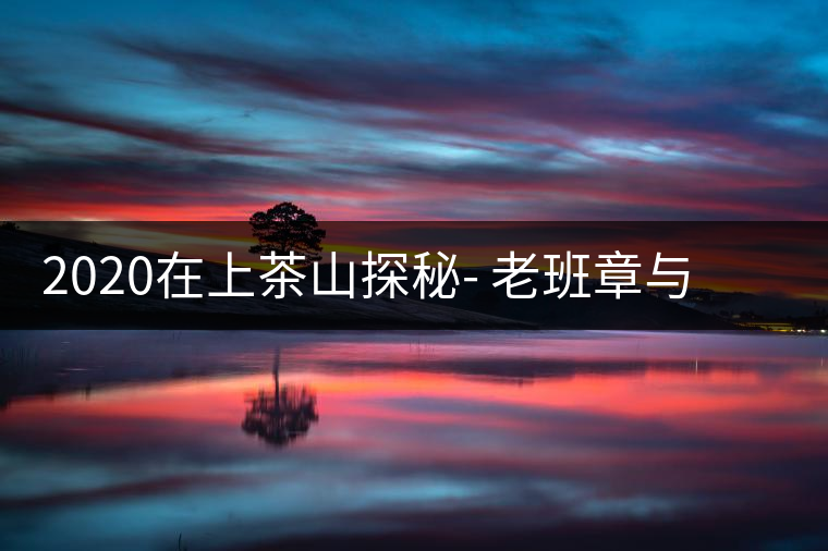 2020在上茶山探秘- 老班章與新班章，一母所生，一念之間，際遇迥異