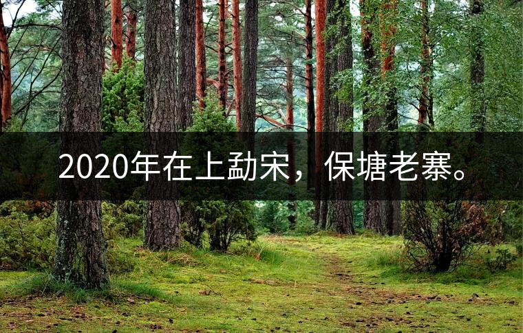 2020年在上勐宋，保塘老寨。