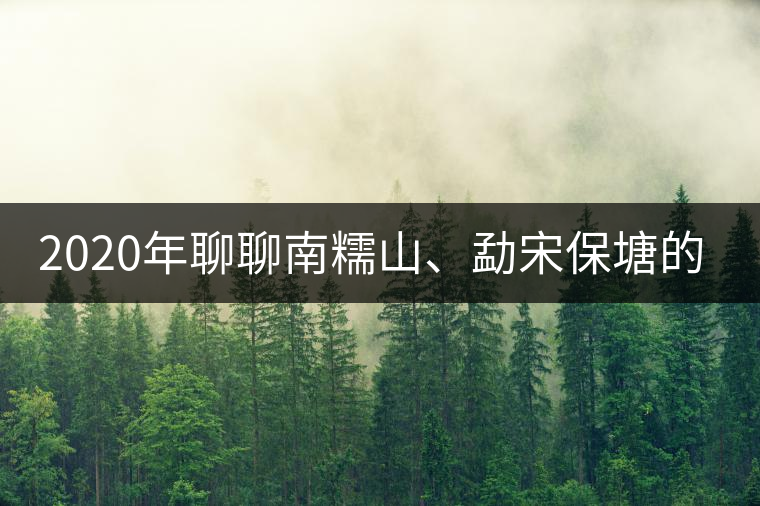2020年聊聊南糯山、勐宋保塘的茶王樹 2020年聊聊南糯山、勐宋保塘的茶王樹