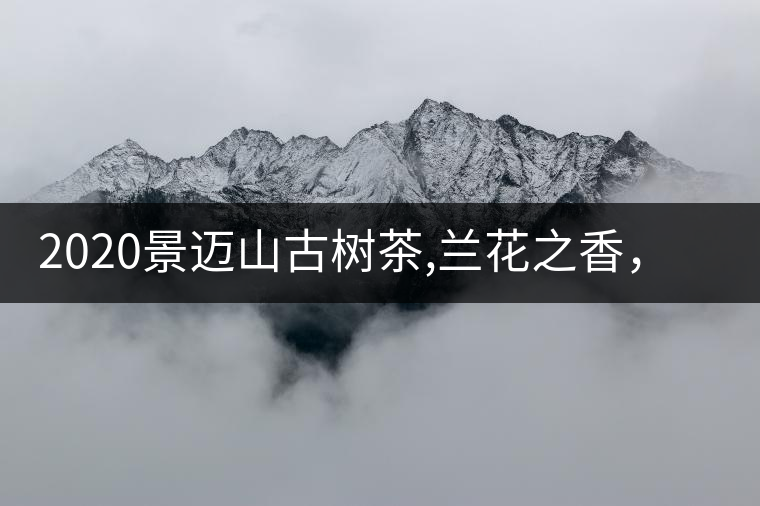 2020景邁山古樹茶,蘭花之香，自然之味