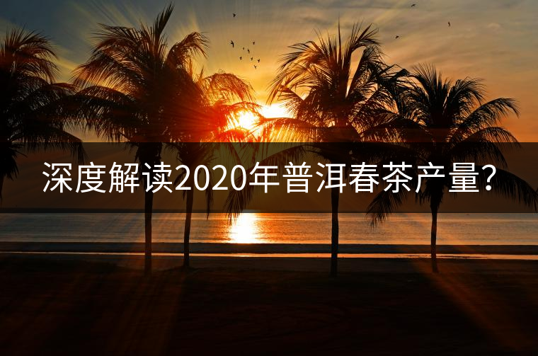 深度解讀2020年普洱春茶產量？