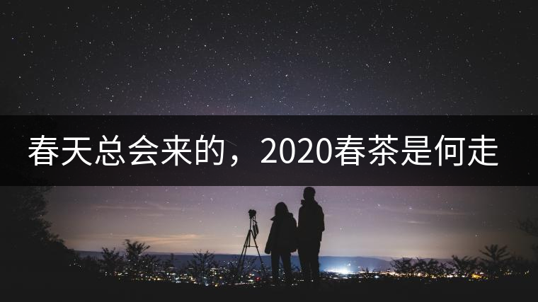 春天總會來的,2020春茶是何走勢? 春天總會來的,2020春茶是何走勢?