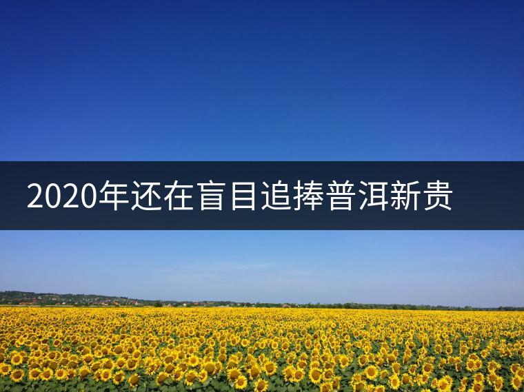 2020年還在盲目追捧普洱新貴“貓耳朵”?我們深入產區為你揭示最真實的“貓耳朵”! 2020年還在盲目追捧普洱新貴“貓耳朵”?我們深入產區為你揭示最真實的“貓耳朵”!