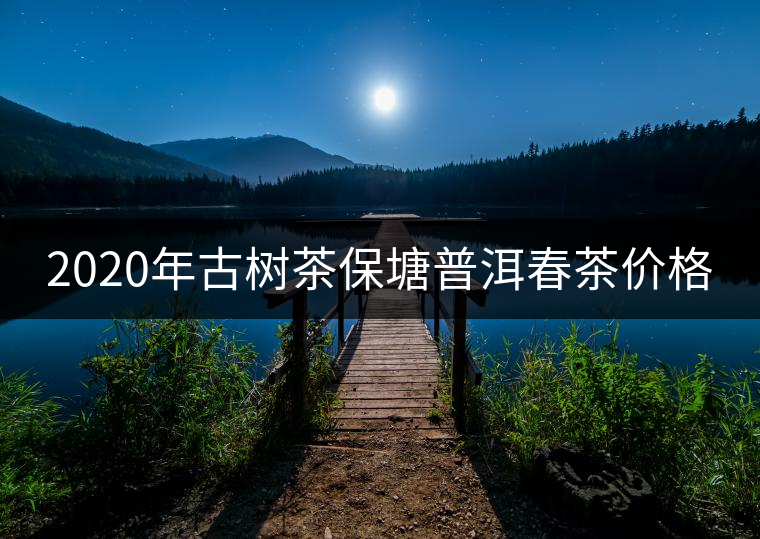 2020年古樹茶保塘普洱春茶價格 2020年古樹茶保塘普洱春茶價格