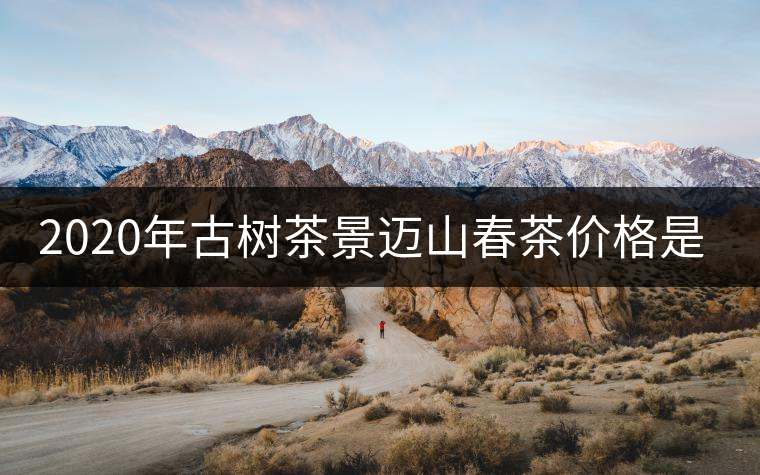 2020年古樹茶景邁山春茶價(jià)格是多少? 2020年古樹茶景邁山春茶價(jià)格是多少?