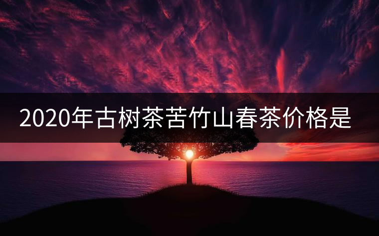 2020年古樹(shù)茶苦竹山春茶價(jià)格是多少？