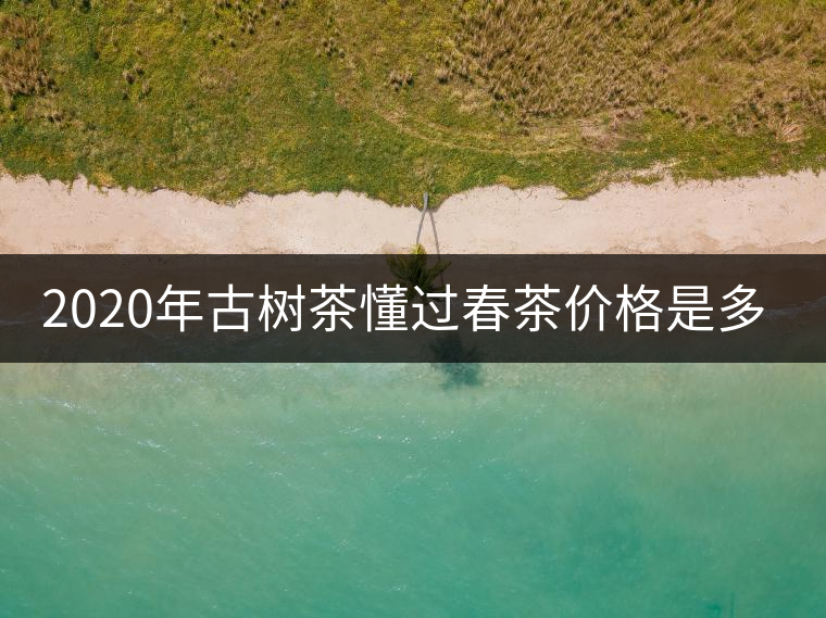 2020年古樹茶懂過春茶價格是多少？