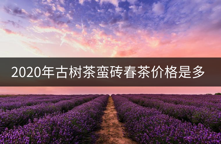 2020年古樹(shù)茶蠻磚春茶價(jià)格是多少？
