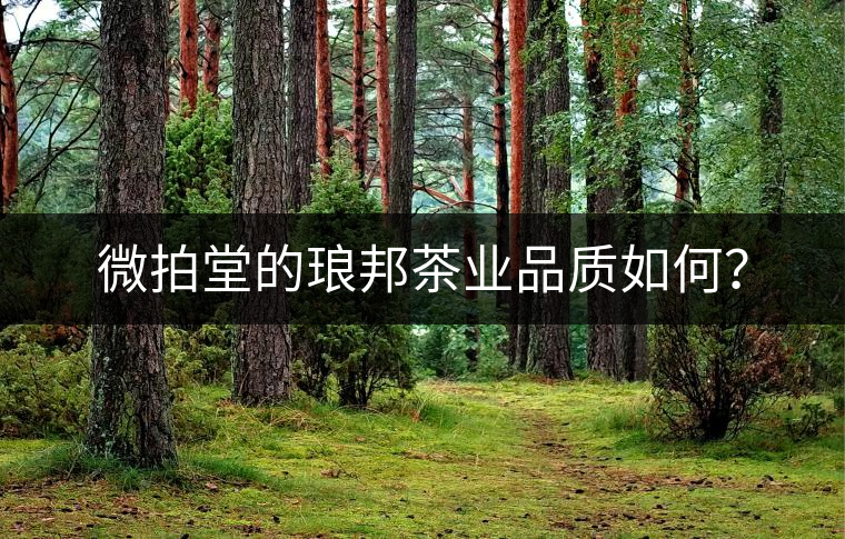 微拍堂的瑯邦茶業品質如何？