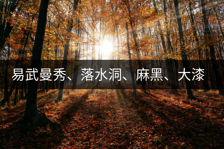 易武曼秀、落水洞、麻黑、大漆樹等你更喜歡哪個茶？