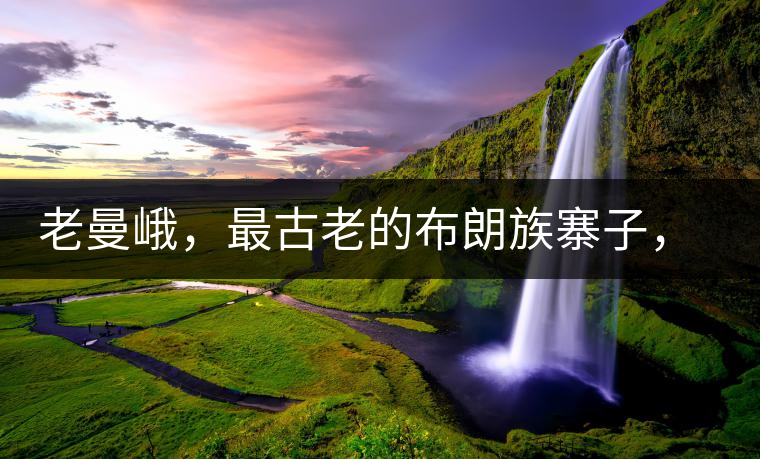 老曼峨，最古老的布朗族寨子，最極端的普洱茶