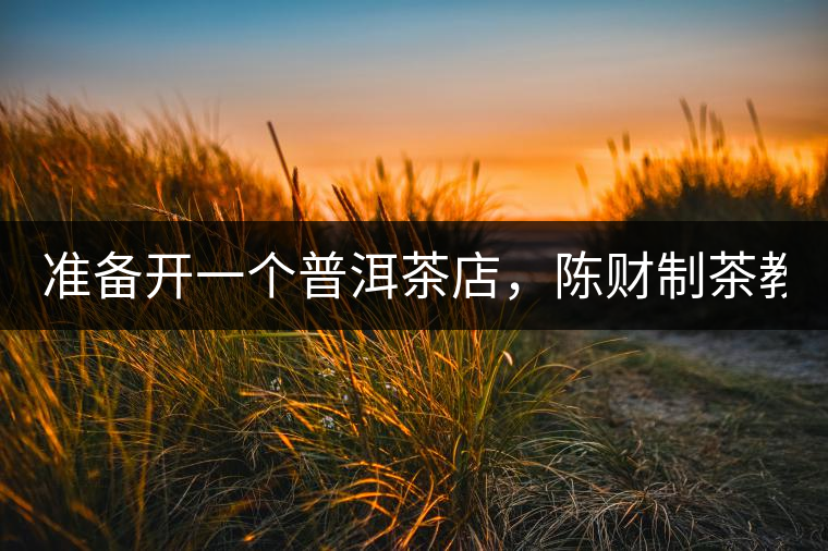 準(zhǔn)備開(kāi)一個(gè)普洱茶店，陳財(cái)制茶教你怎么做！