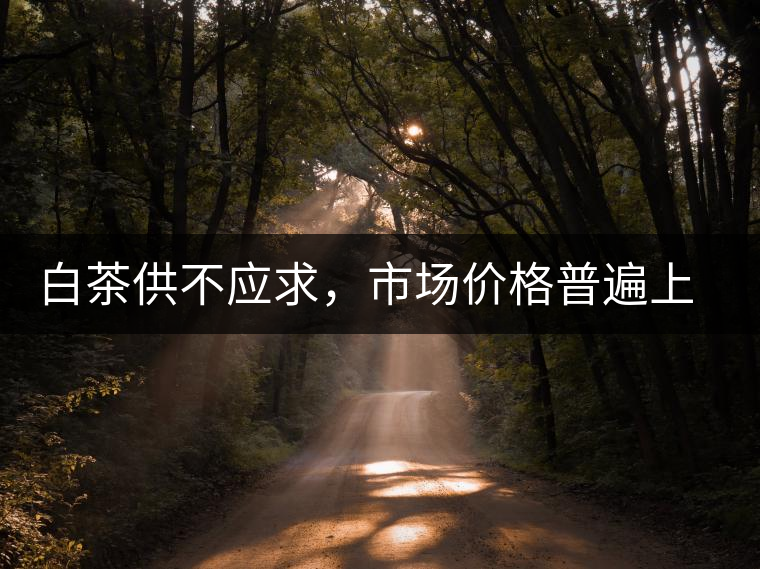 白茶供不應(yīng)求,市場(chǎng)價(jià)格普遍上漲? 白茶供不應(yīng)求,市場(chǎng)價(jià)格普遍上漲?