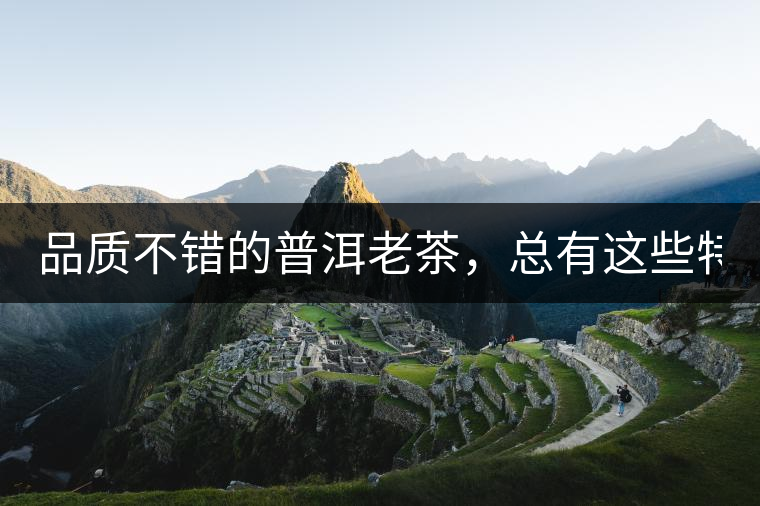品質(zhì)不錯(cuò)的普洱老茶,總有這些特點(diǎn)! 品質(zhì)不錯(cuò)的普洱老茶,總有這些特點(diǎn)!