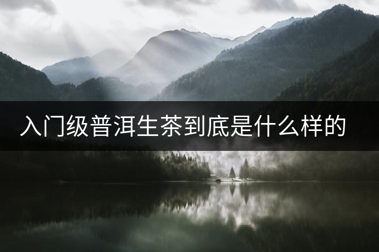 入門級普洱生茶到底是什么樣的口感? 入門級普洱生茶到底是什么樣的口感?