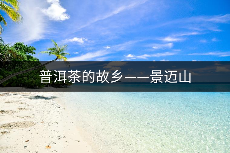 普洱茶的故鄉——景邁山