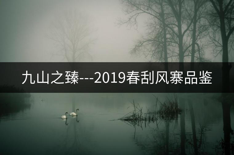 九山之臻---2019春刮風(fēng)寨品鑒