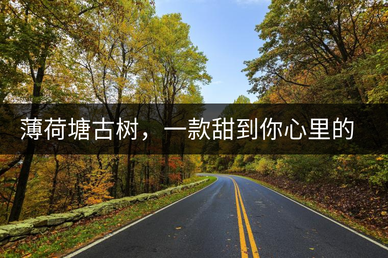 薄荷塘古樹,一款甜到你心里的普洱茶 薄荷塘古樹,一款甜到你心里的普洱茶