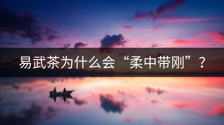 易武茶為什么會(huì)“柔中帶剛”? 易武茶為什么會(huì)“柔中帶剛”?