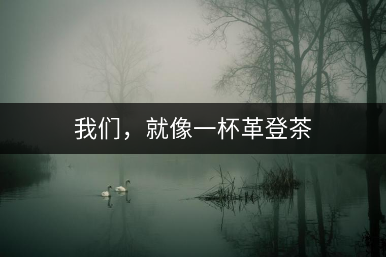 我們,就像一杯革登茶 我們,就像一杯革登茶