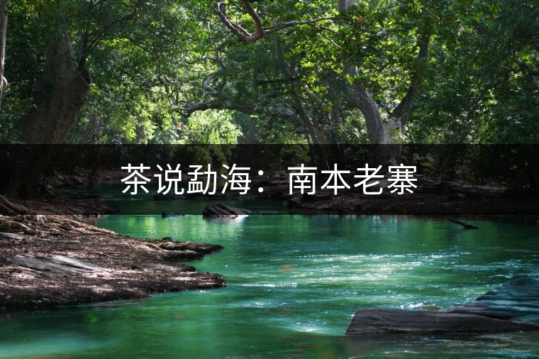 茶說勐海：南本老寨