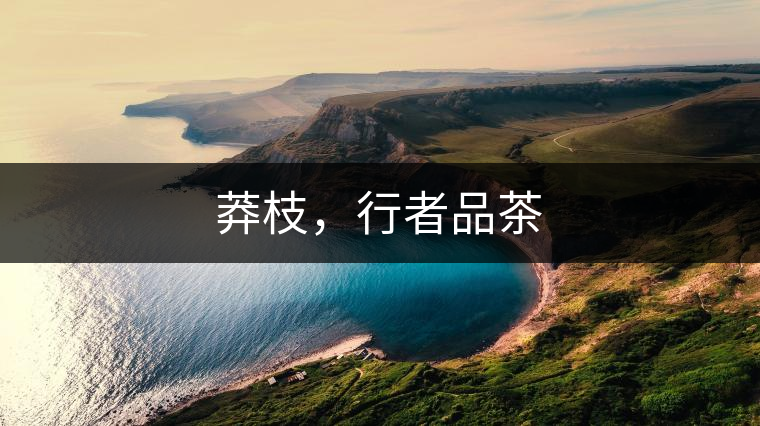 莽枝，行者品茶