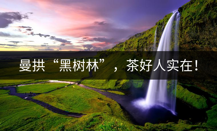 曼拱“黑樹林”，茶好人實在！