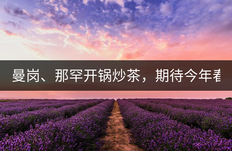 曼崗、那罕開鍋炒茶，期待今年春茶！