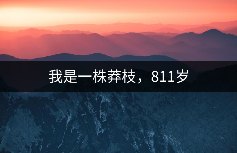 我是一株莽枝，811歲