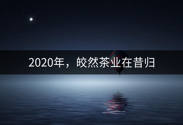 2020年，皎然茶業在昔歸