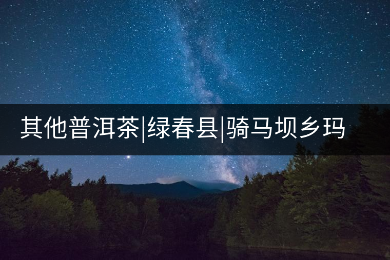 其他普洱茶|綠春縣|騎馬壩鄉瑪玉村古茶園