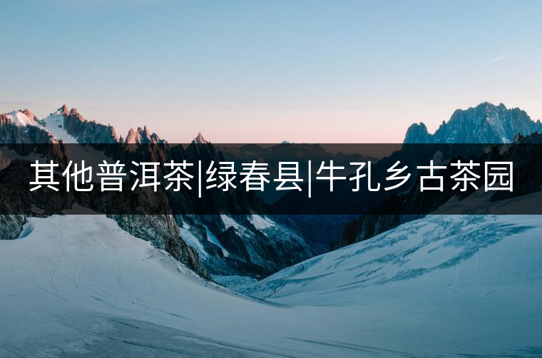 其他普洱茶|綠春縣|牛孔鄉(xiāng)古茶園 其他普洱茶|綠春縣|牛孔鄉(xiāng)古茶園