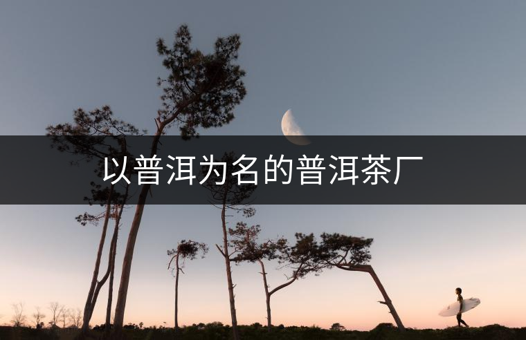 以普洱為名的普洱茶廠 以普洱為名的普洱茶廠