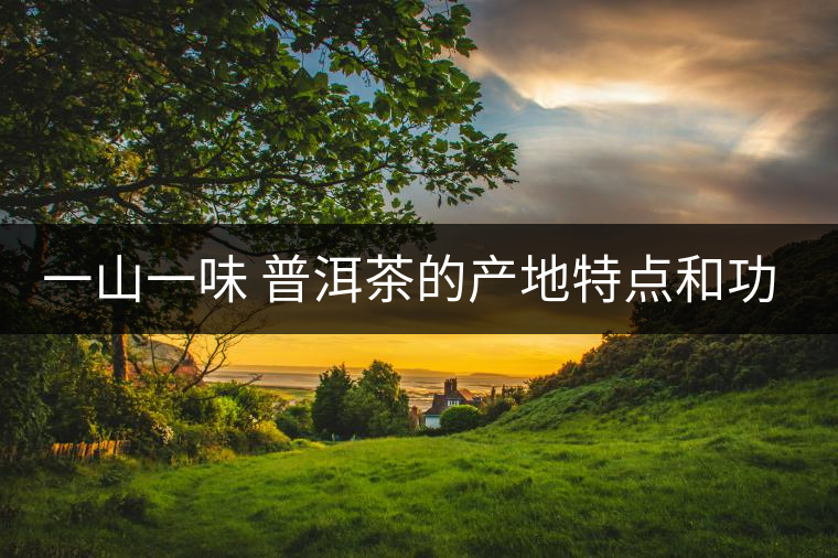 一山一味 普洱茶的產地特點和功效