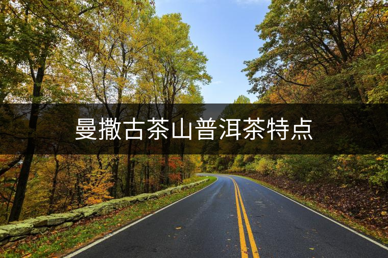 曼撒古茶山普洱茶特點 曼撒古茶山普洱茶特點